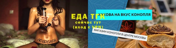 spice Алзамай