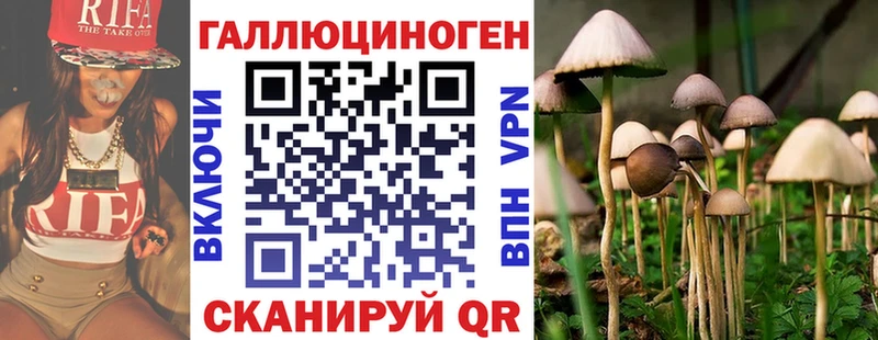 Псилоцибиновые грибы Psilocybe  купить наркоту  Мытищи 